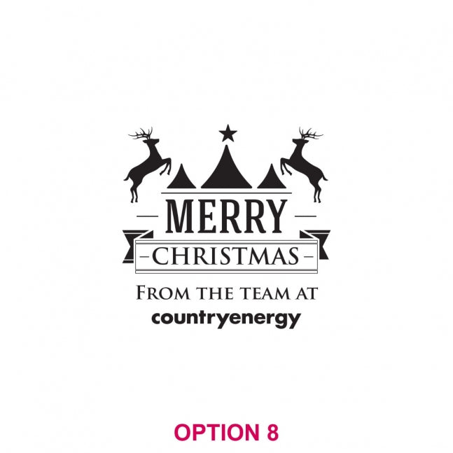 Corporate Christmas 425ml Engraved Schooner Beer Glass