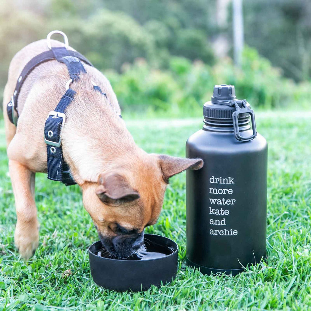 Engraved Matte Black Stainless Steel 2L Water Bottle with Pet Drinking Bowl