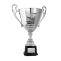Fathers Day Classic Cup Trophy - Silver